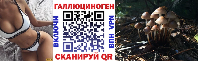 Галлюциногенные грибы Magic Shrooms  где купить наркоту  Яранск 